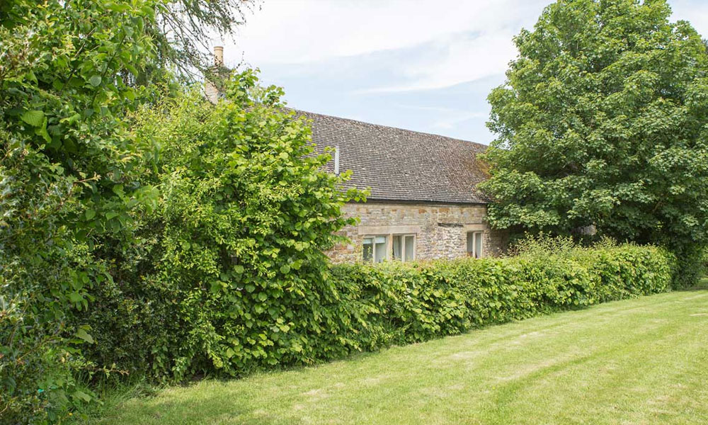 Native Mixed Hedges