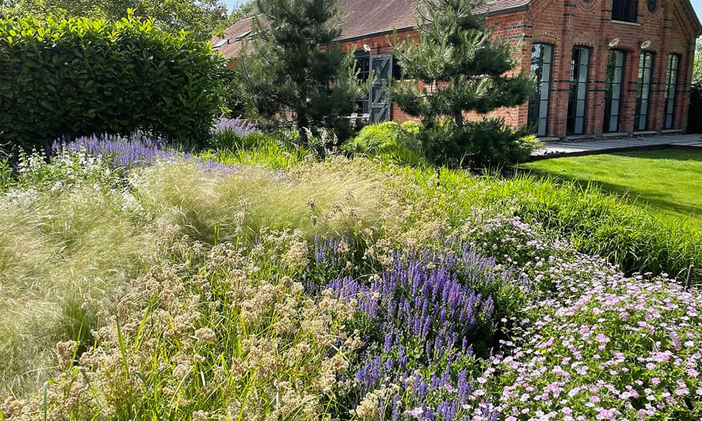 Prairie Planting