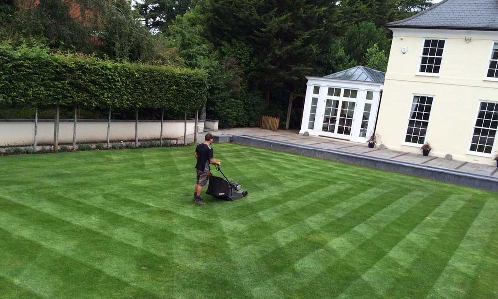 Scarifying A Lawn