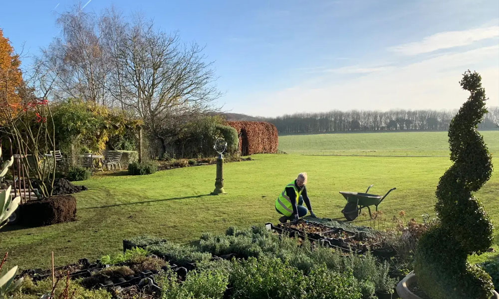 Bespoke Soft Landscaping for Every Garden