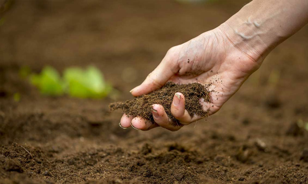 Soil Types Explained