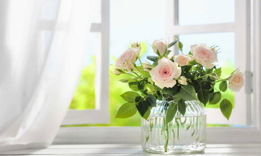 Summer Flowers For Garden Cutting