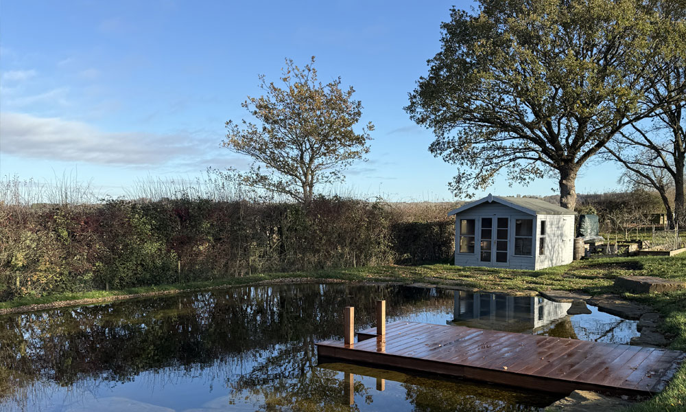 Swimming Pool to Swimming Pond Transformation
