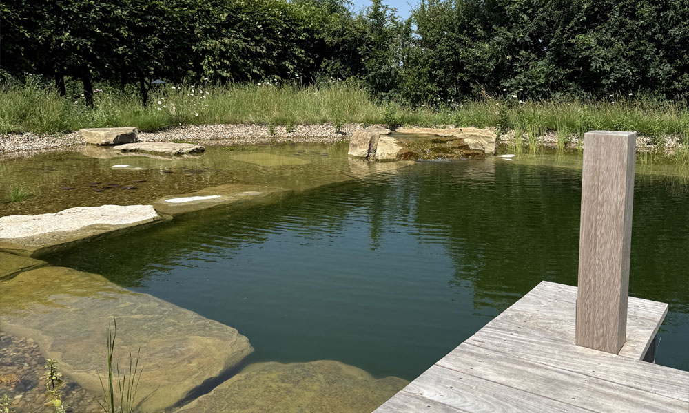 Swimming Pool to Swimming Pond Transformation