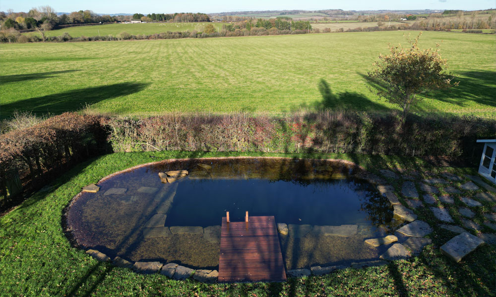 Swimming Pool to Swimming Pond Transformation