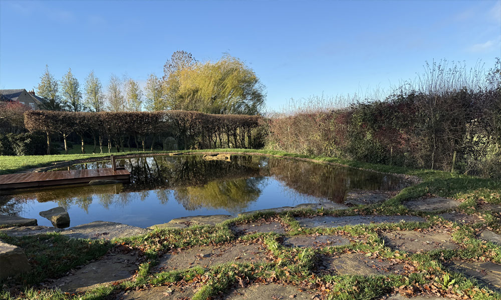Swimming Pool to Swimming Pond Transformation