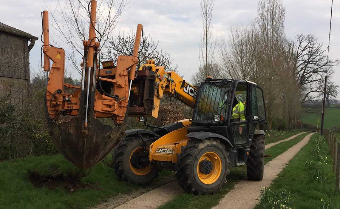 Mature Tree Moving & Planting Henley-on-Thames