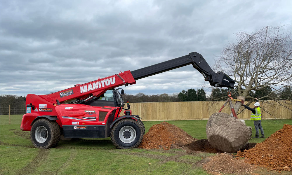 Mature Tree Planting Henley-on-Thames