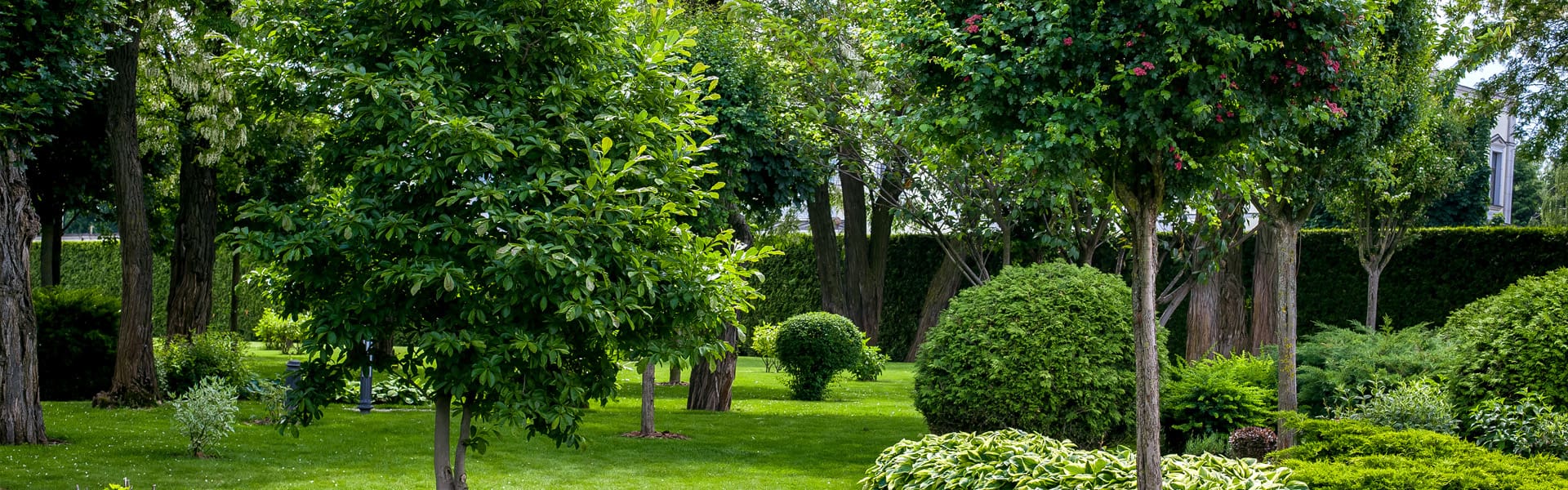 Hortlands