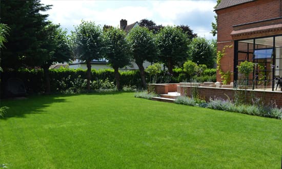 Faster Garden Privacy and Screening