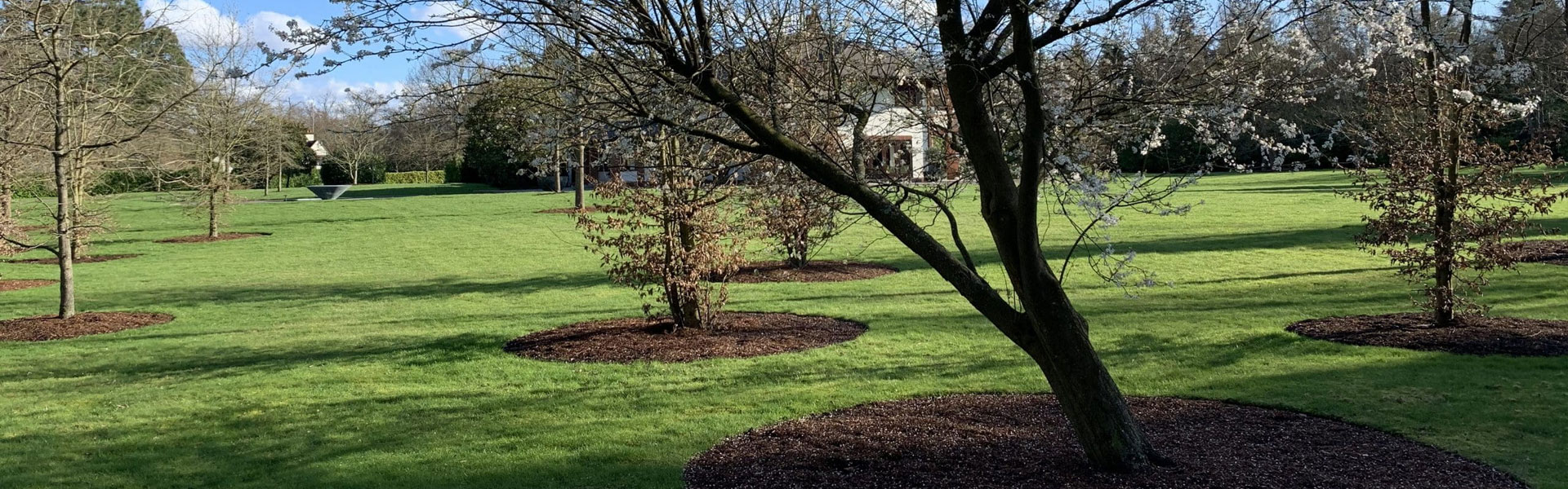 Hortlands