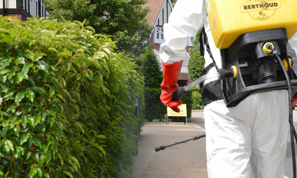 Weed Control Information Guide