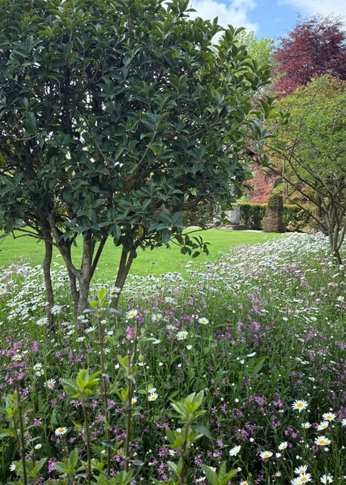Hortlands
